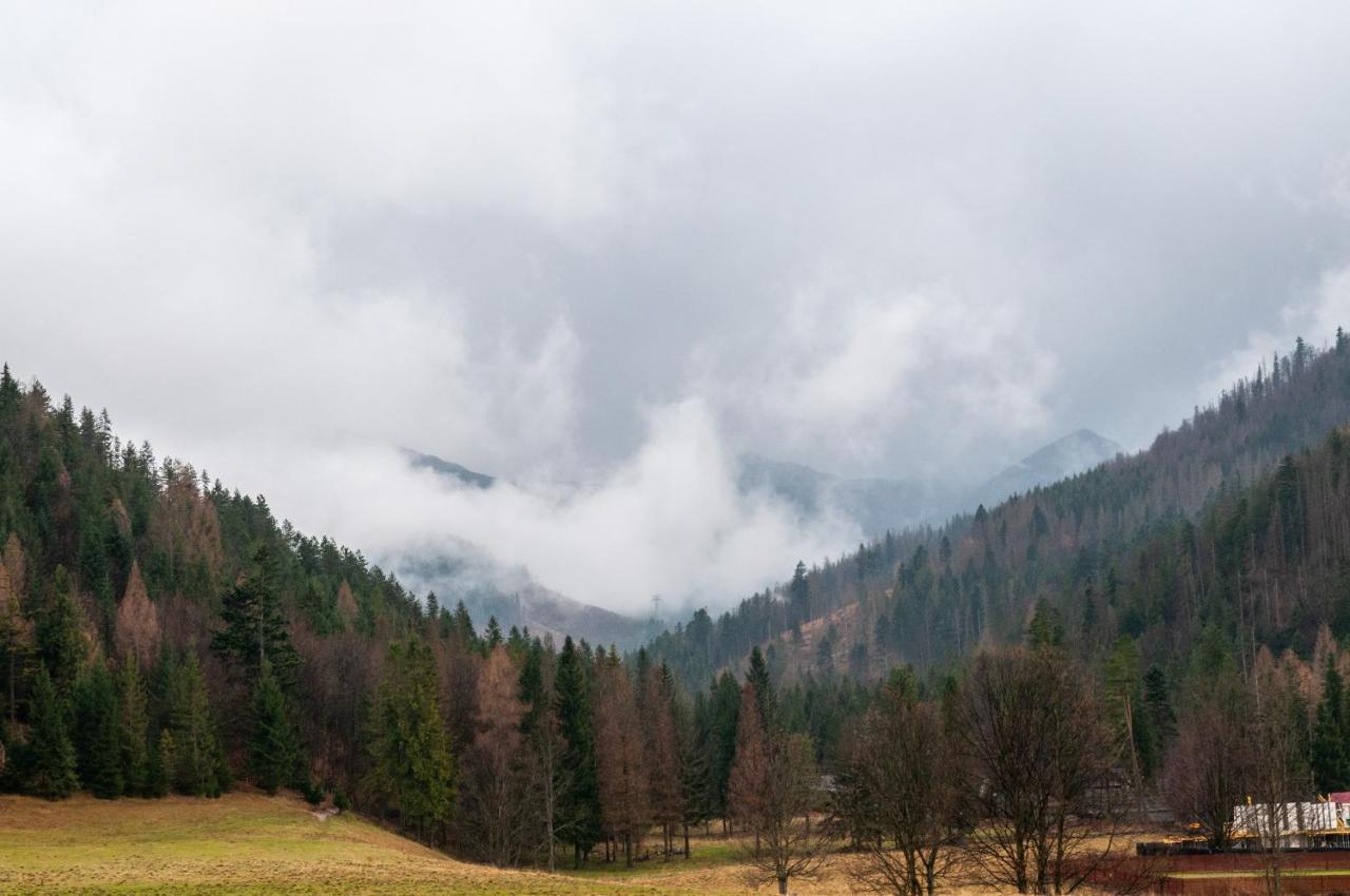 Willa Pod Nosalem III Zakopane Exterior photo